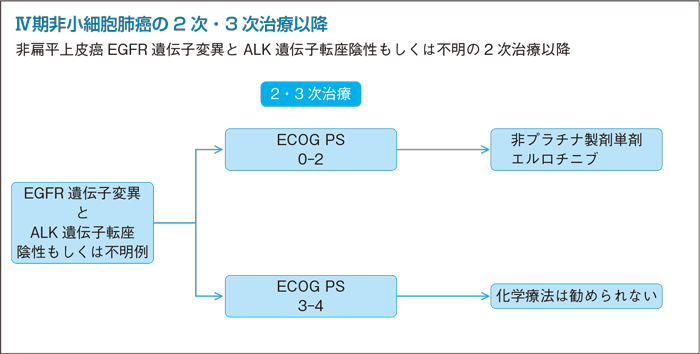 非扁平上皮癌EGFR 遺伝子変異とALK遺伝子転座陰性もしくは不明の2次治療以降