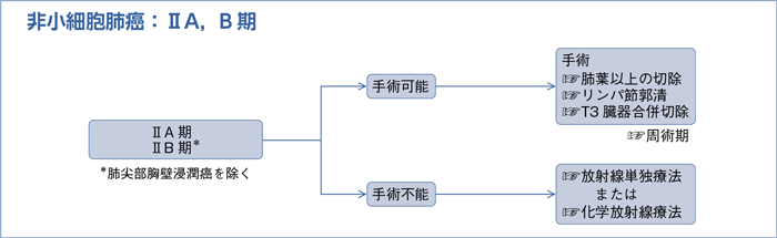 非小細胞肺癌：ⅡA，B期