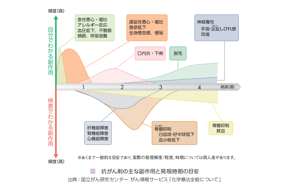 抗 が ん 剤 胎児 へ の 影響 看護 師