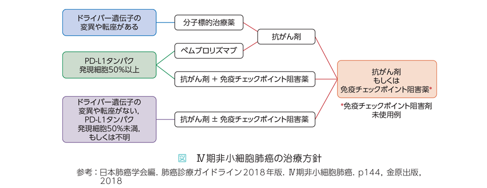 免疫 チェック ポイント 阻害 剤