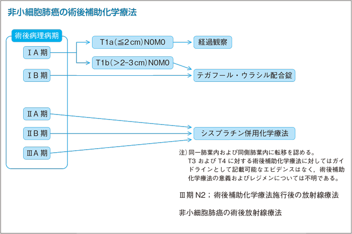 非小細胞肺癌の術後補助化学療法