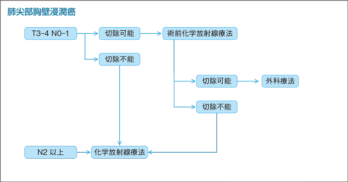 肺尖部胸壁浸潤癌