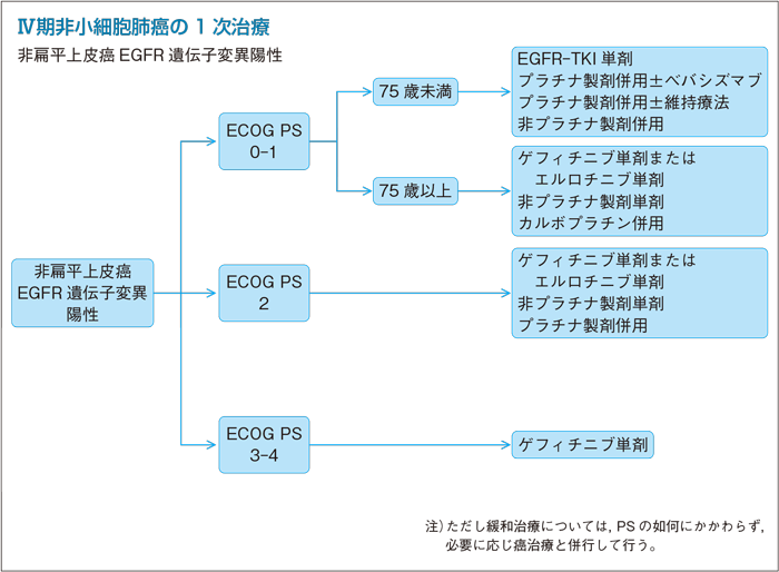 Ⅳ期非小細胞肺癌の1次治療：非扁平上皮癌EGFR 遺伝子変異陽性