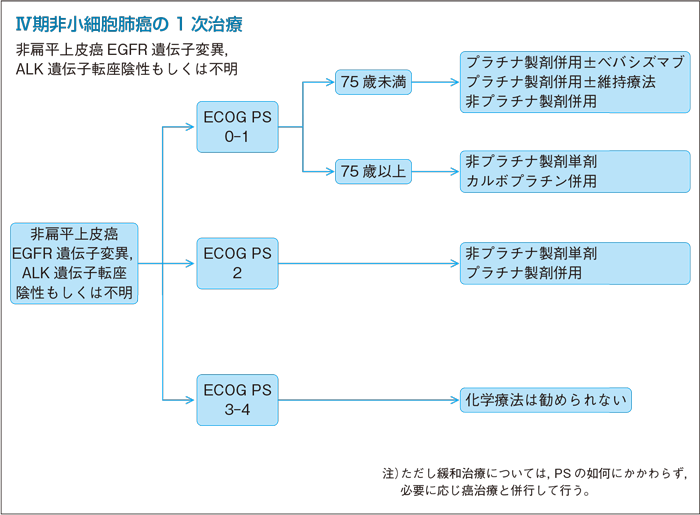 Ⅳ期非小細胞肺癌の1次治療：非扁平上皮癌EGFR 遺伝子変異，ALK 遺伝子転座陰性もしくは不明