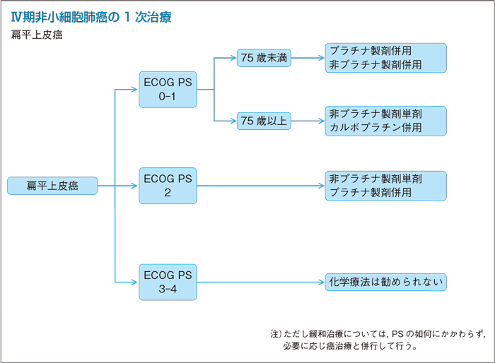 Ⅳ期非小細胞肺癌の1次治療：扁平上皮癌