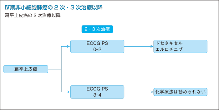 扁平上皮癌の2次治療以降