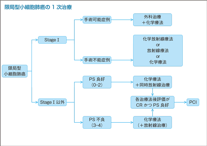 限局型小細胞肺癌の1次治療