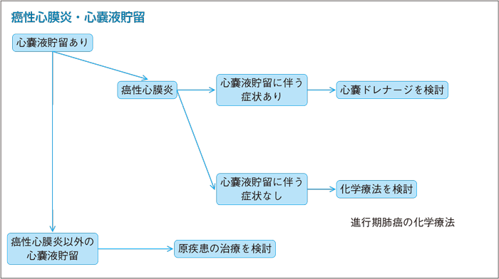 癌性心膜炎・心嚢液貯留