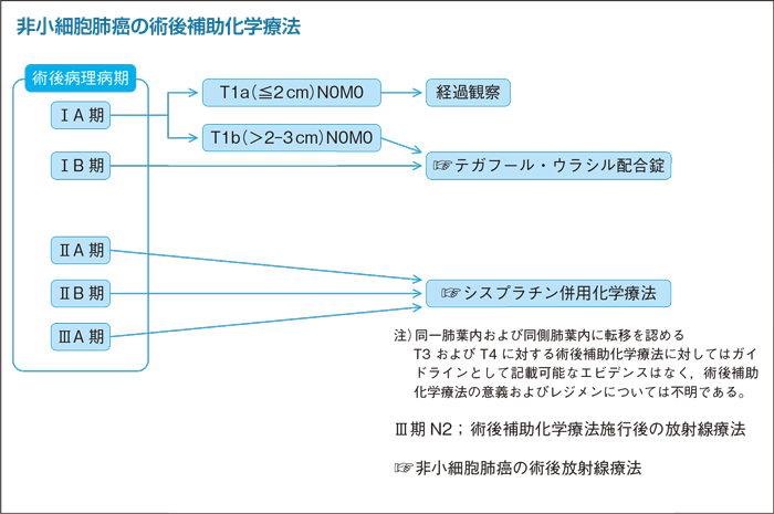 非小細胞肺癌の術後補助化学療法