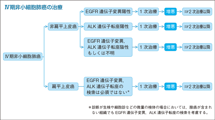 Ⅳ期非小細胞肺癌の治療