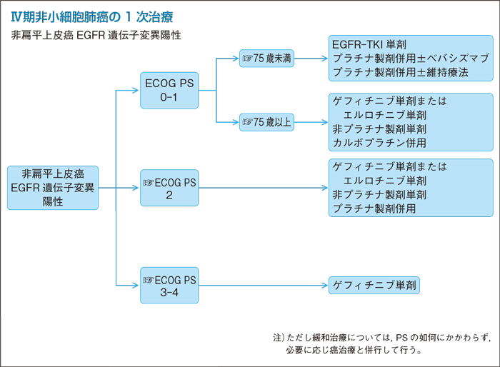 Ⅳ期非小細胞肺癌の1次治療：非扁平上皮癌EGFR 遺伝子変異陽性