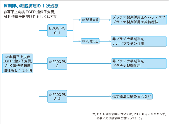 Ⅳ期非小細胞肺癌の1次治療：非扁平上皮癌EGFR 遺伝子変異，ALK 遺伝子転座陰性もしくは不明