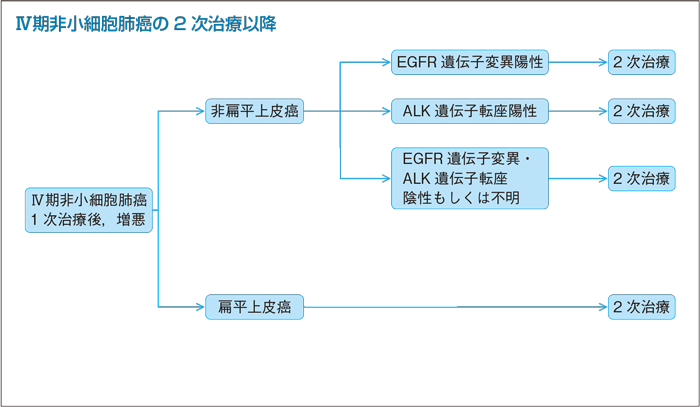 Ⅳ期非小細胞肺癌の2次治療以降