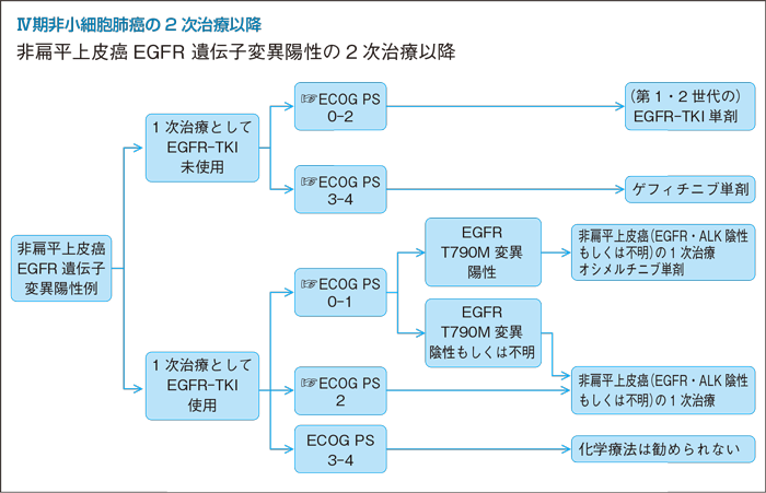 Ⅳ期非小細胞肺癌の2次治療以降