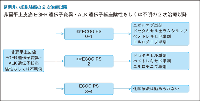 Ⅳ期非小細胞肺癌の2次治療以降 非扁平上皮癌EGFR遺伝子変異とALK遺伝子転座陰性もしくは不明の2次治療以降