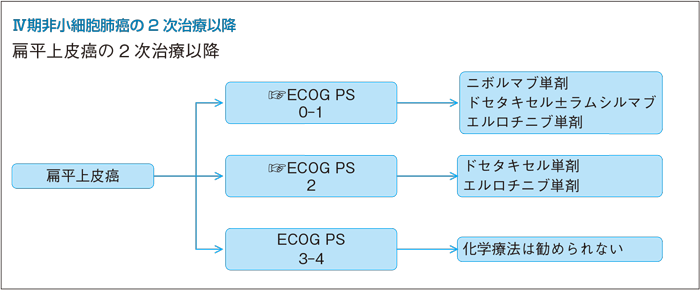 Ⅳ期非小細胞肺癌の2次治療以降 扁平上皮癌の2次治療以降