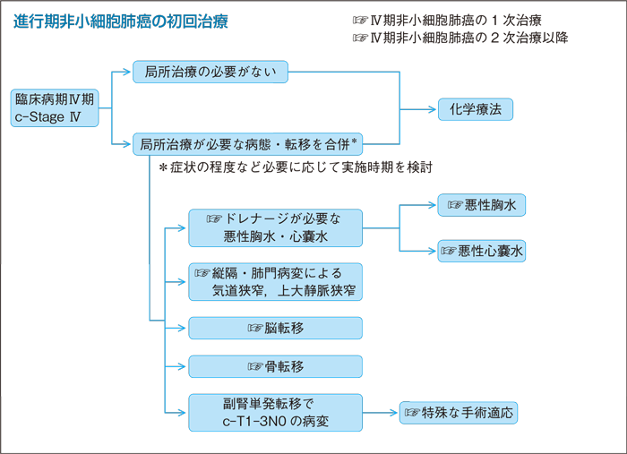 進行期非小細胞肺癌の初回治療