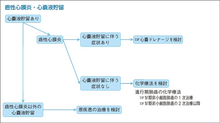 癌性心膜炎・心嚢液貯留