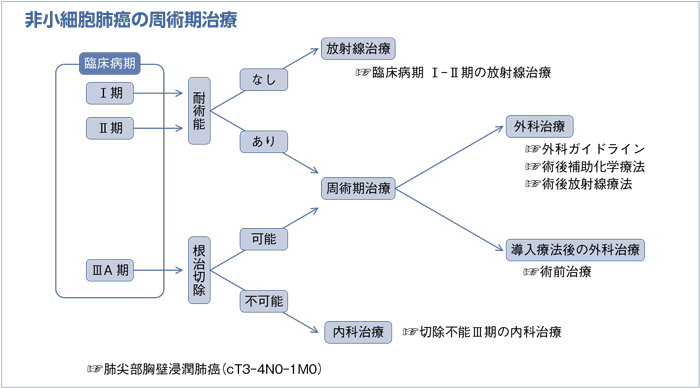 非小細胞肺癌の周術期治療