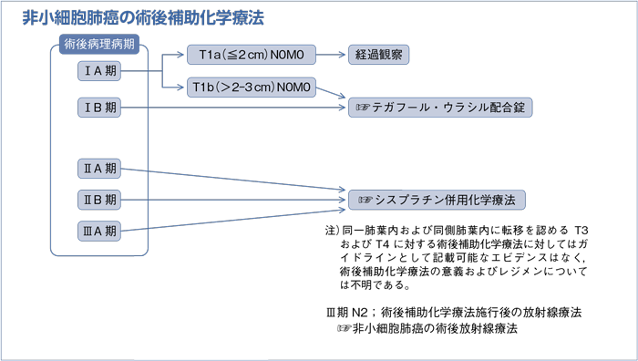 非小細胞肺癌の術後補助化学療法