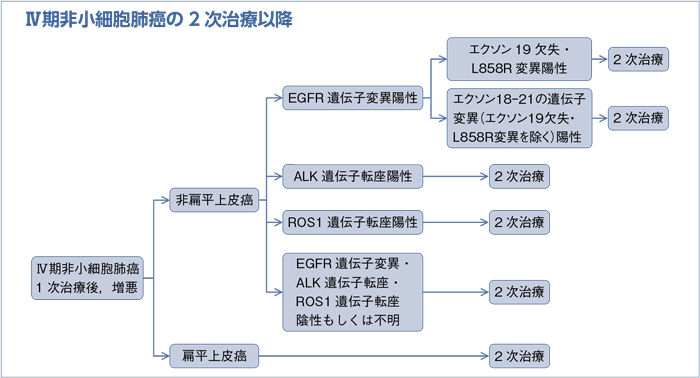 Ⅳ期非小細胞肺癌の2次治療以降