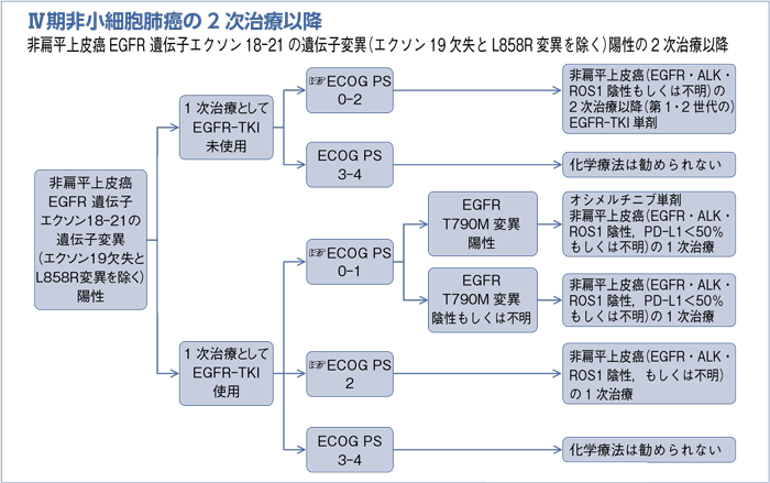 Ⅳ期非小細胞肺癌の2次治療以降　非扁平上皮癌EGFR 遺伝子エクソン18-21の遺伝子変異（エクソン19欠失とL858R変異を除く）陽性の2次治療以降