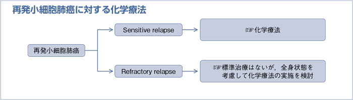 再発小細胞肺癌に対する化学療法