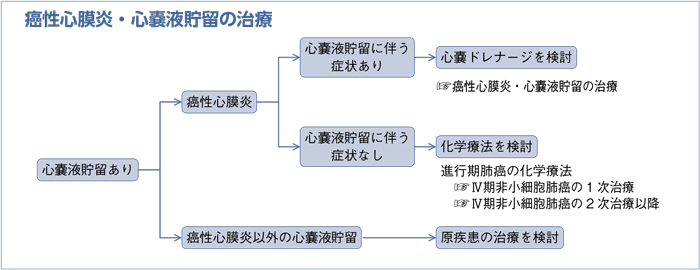 癌性心膜炎・心嚢液貯留の治療