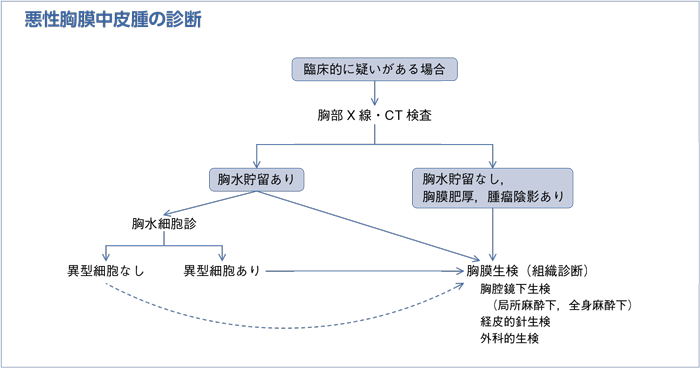 悪性胸膜中皮腫の診断