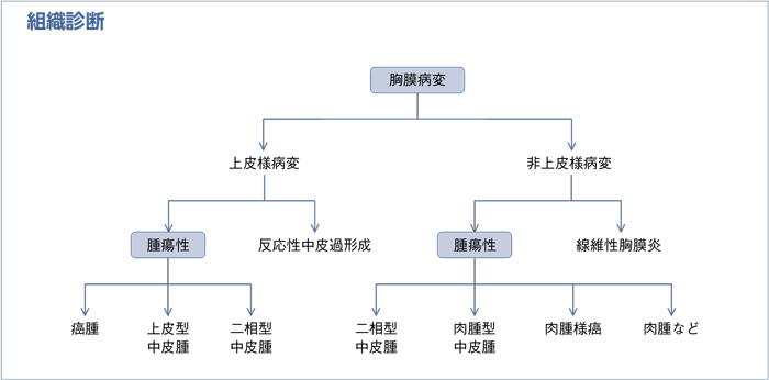 組織診断