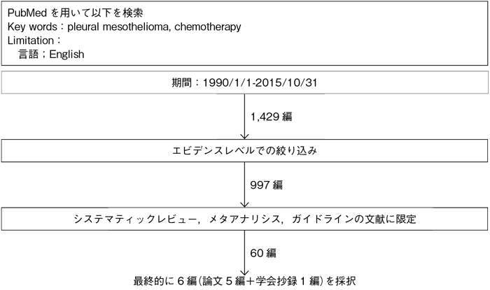 切除不能悪性胸膜中皮腫の化学療法