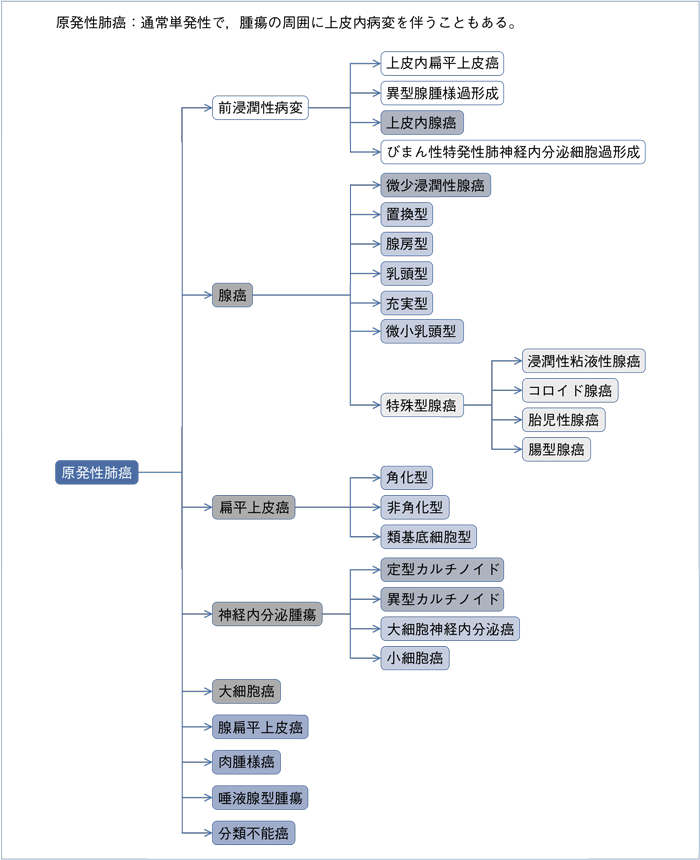 性 肺 癌 原発 腺