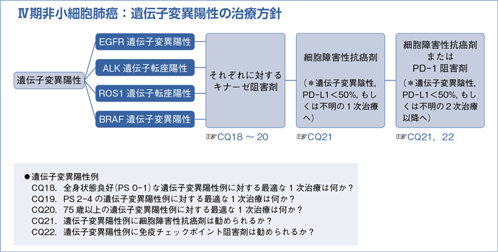 Ⅳ期非小細胞肺癌：遺伝子変異陽性の治療方針＞