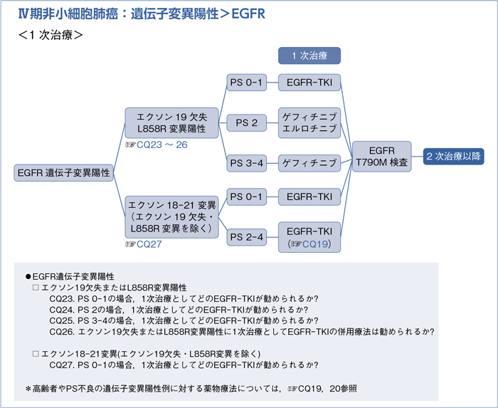 Ⅳ期非小細胞肺癌:遺伝子変異陽性>EGFR <1次治療>
