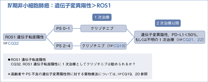 Ⅳ期非小細胞肺癌：遺伝子変異陽性＞ROS1