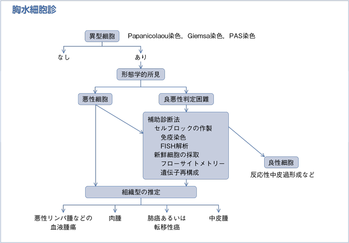 胸水細胞診