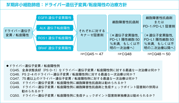 Ⅳ期非小細胞肺癌：ドライバー遺伝子変異/転座陽性の治療方針