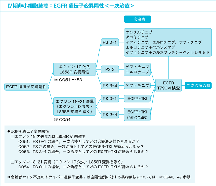 Ⅳ期非小細胞肺癌：EGFR遺伝子変異陽性＜一次治療＞