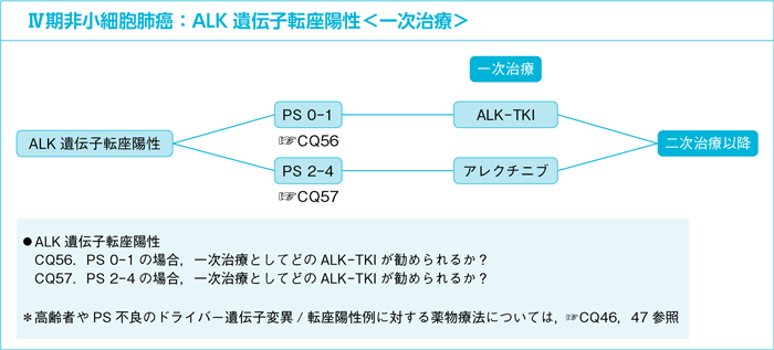 Ⅳ期非小細胞肺癌：ALK遺伝子転座陽性＜一次治療＞