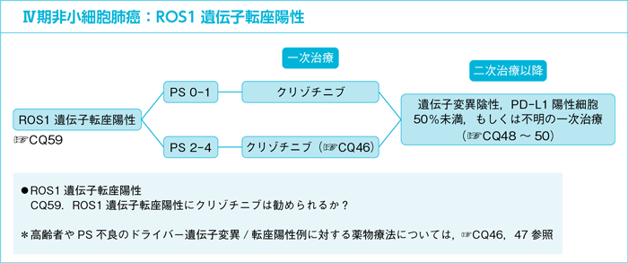 Ⅳ期非小細胞肺癌：ROS1遺伝子転座陽性