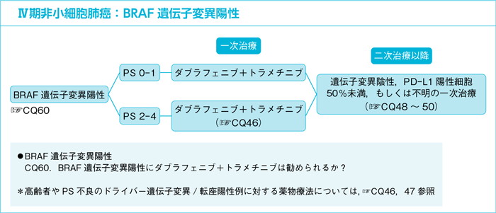 Ⅳ期非小細胞肺癌：BRAF遺伝子変異陽性