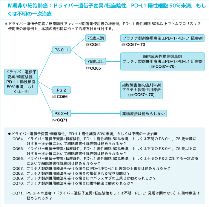 Ⅳ期非小細胞肺癌：ドライバー遺伝子変異/転座陰性，PD-L1陽性細胞50％未満，もしくは不明の一次治療