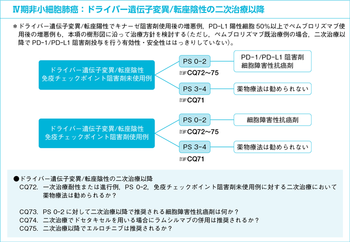 Ⅳ期非小細胞肺癌：ドライバー遺伝子変異/転座陰性の二次治療以降