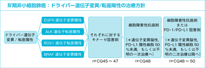 Ⅳ期非小細胞肺癌：ドライバー遺伝子変異/転座陽性の治療方針