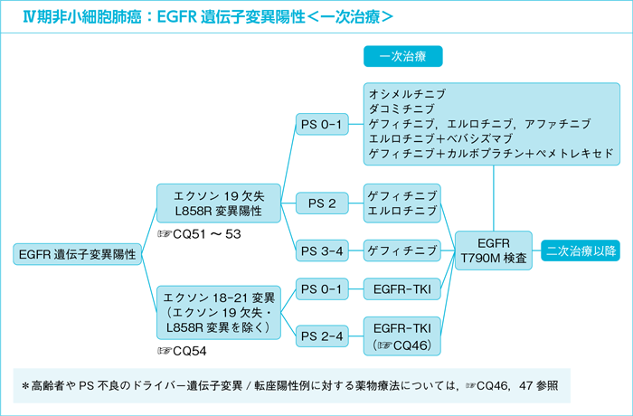 Ⅳ期非小細胞肺癌：EGFR遺伝子変異陽性＜一次治療＞