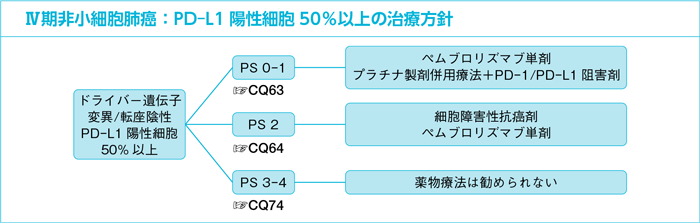 Ⅳ期非小細胞肺癌：PD-L1陽性細胞50％以上の治療方針