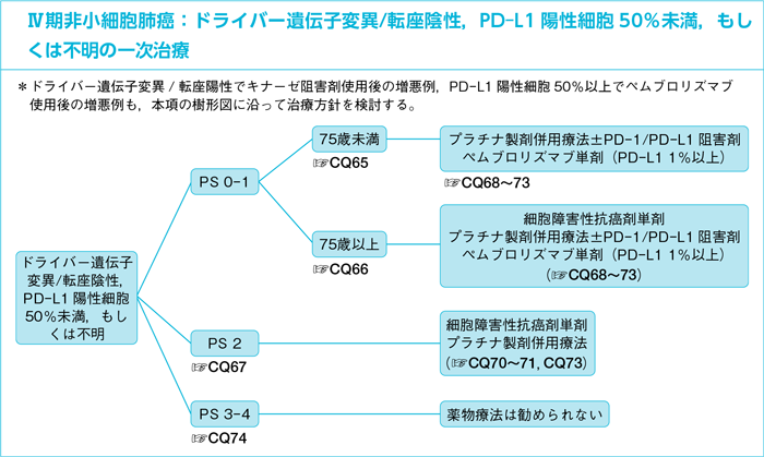 Ⅳ期非小細胞肺癌：ドライバー遺伝子変異/転座陰性，PD-L1陽性細胞50％未満，もしくは不明の一次治療