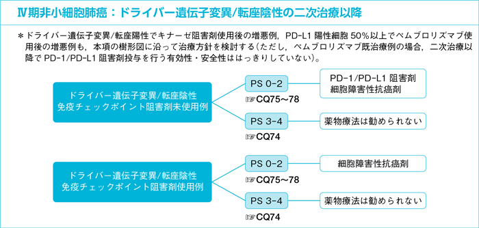 Ⅳ期非小細胞肺癌：ドライバー遺伝子変異/転座陰性の二次治療以降