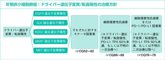 Ⅳ期非小細胞肺癌：ドライバー遺伝子変異/転座陽性の治療方針