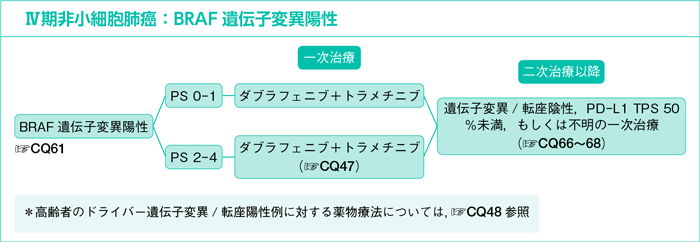 Ⅳ期非小細胞肺癌：BRAF遺伝子変異陽性